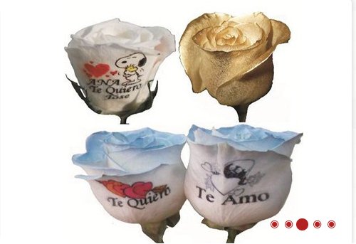 Regala flores personalizadas