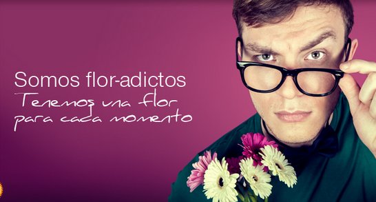 Las mejores flores frescas para cualquier situación