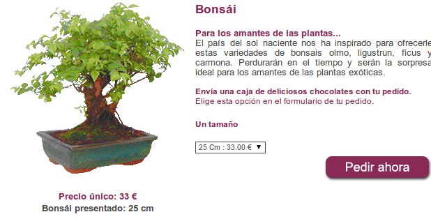 plantas vivas a domicilio