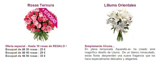 flores por Internet