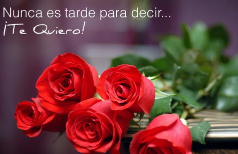 comprar 12 rosas