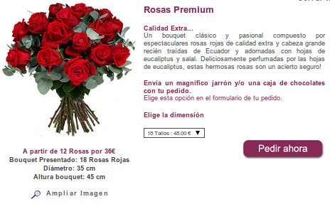 rosa Sant Jordi