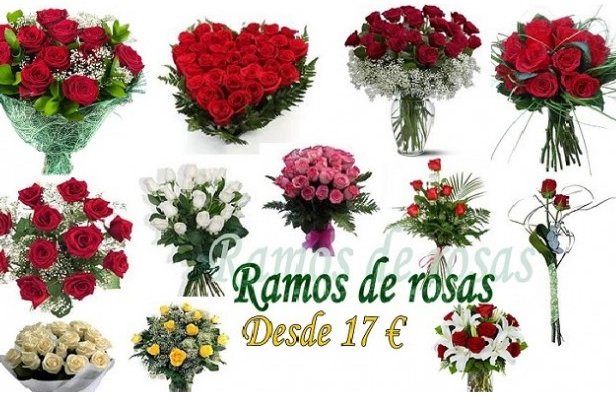 rosas eternas