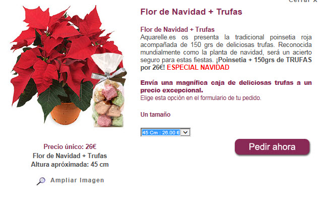 flores de pascua donde comprar