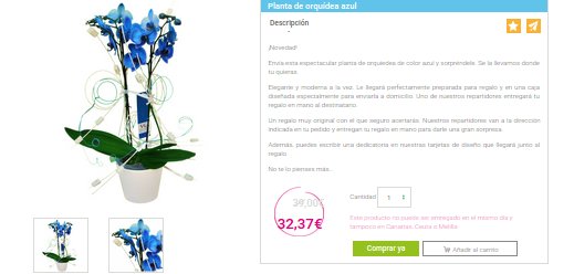 regalar orquideas a domicilio