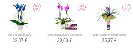 regalar orquideas baratas