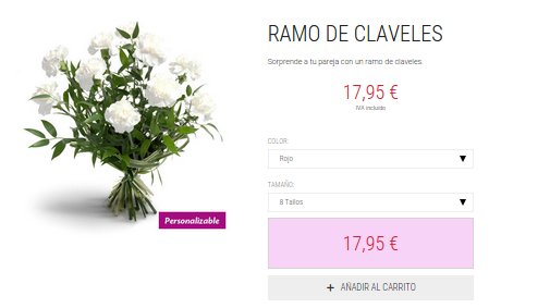 Enviar ramos de claveles baratos