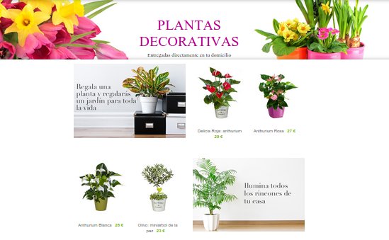 cestas de plantas naturales