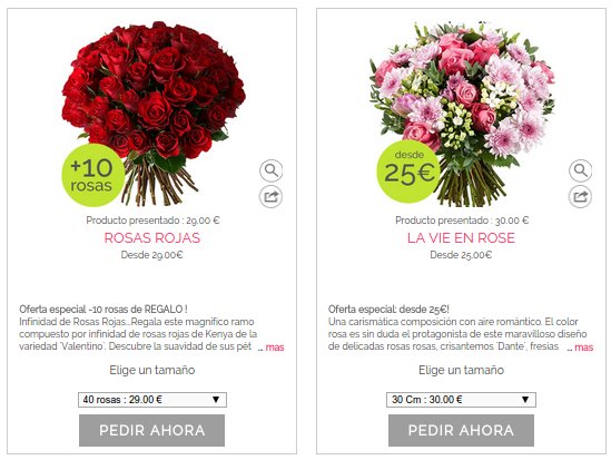 cestas de plantas online