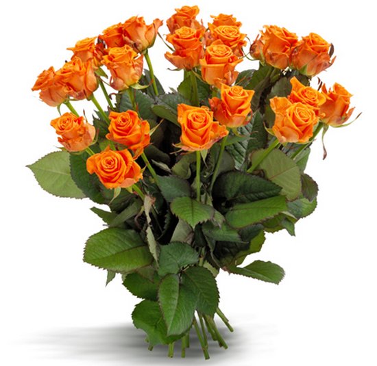 Comprar rosas naranjas