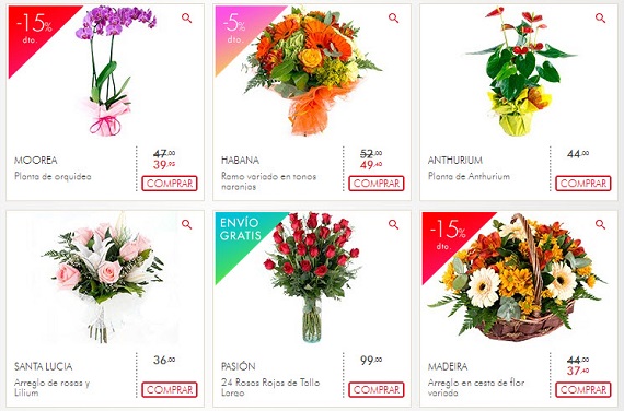 FLORES DÍA DE LOS SANTOS 2015 OFERTAS