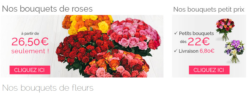 enviar flores a francia