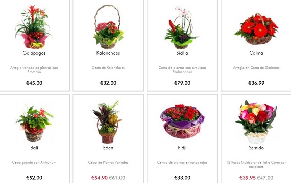 cestas de flores online
