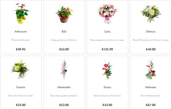 comprar-flores-tropicales