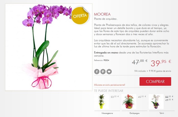 flores-de-otono-para-regalar