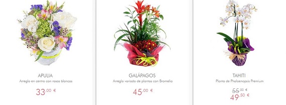 flores-de-otono-precios
