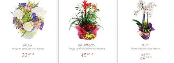 flores-de-otono-precios