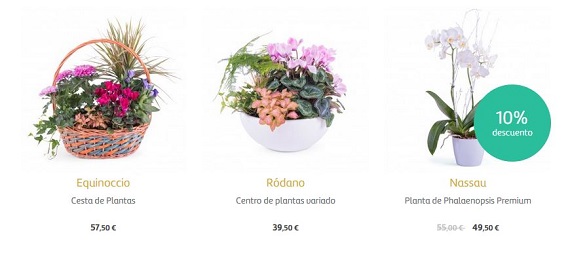 flores para empresas baratas