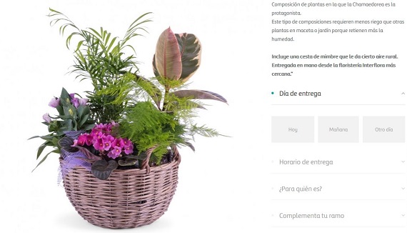 flores para empresas online