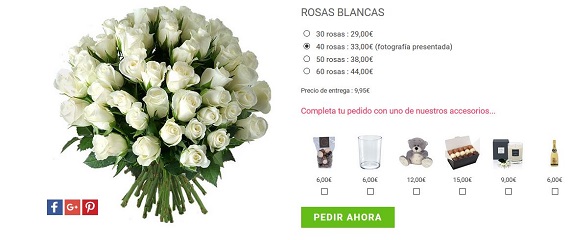 mandar ramos de rosas blancas