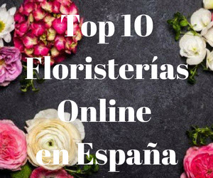 mejores floristerías online