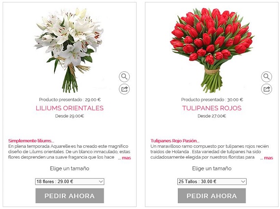 Flores de pascua online