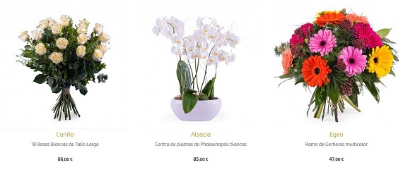 flores para jubilación online