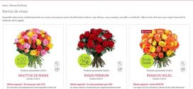 ofertas de flores