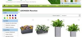 lechuza