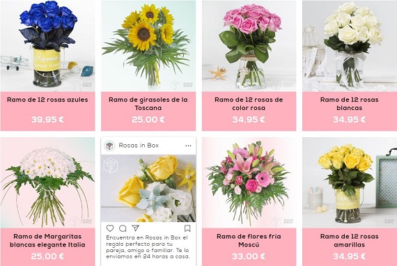 rosas in box ofertas