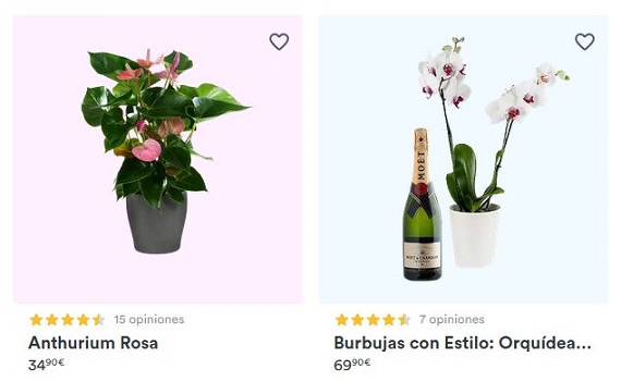 comprar plantas interior online