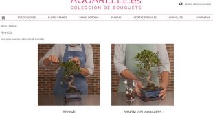 comprar plantas online