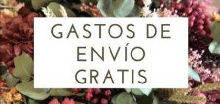 Gastos de envío de floristerías online