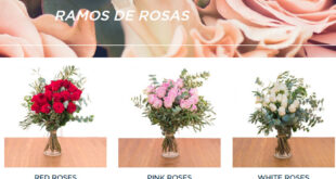 ramos de rosas baratos sant jordi