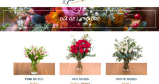 regalar flores baratas Dia de la Madre