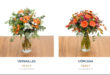 comprar flores los santos a domicilio
