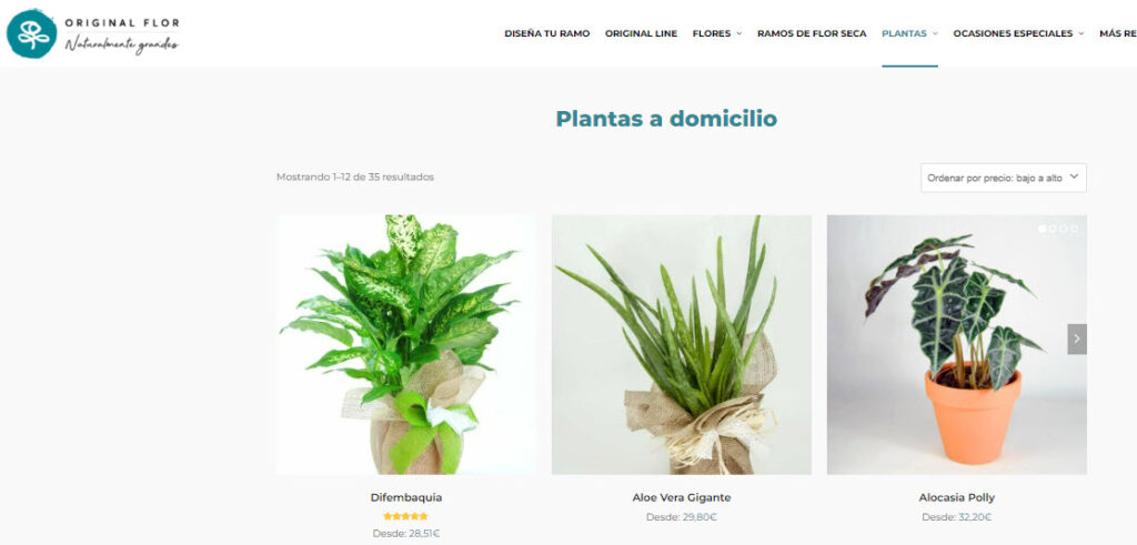Original Flor Plantas a domicilio