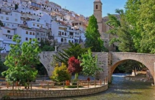 flores todos los santos Albacete