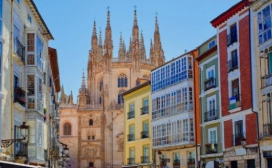 flores todos los santos Burgos