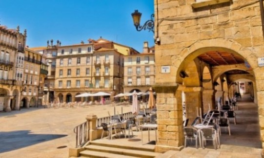 flores todos los santos Ourense