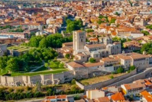 flores todos los santos Zamora